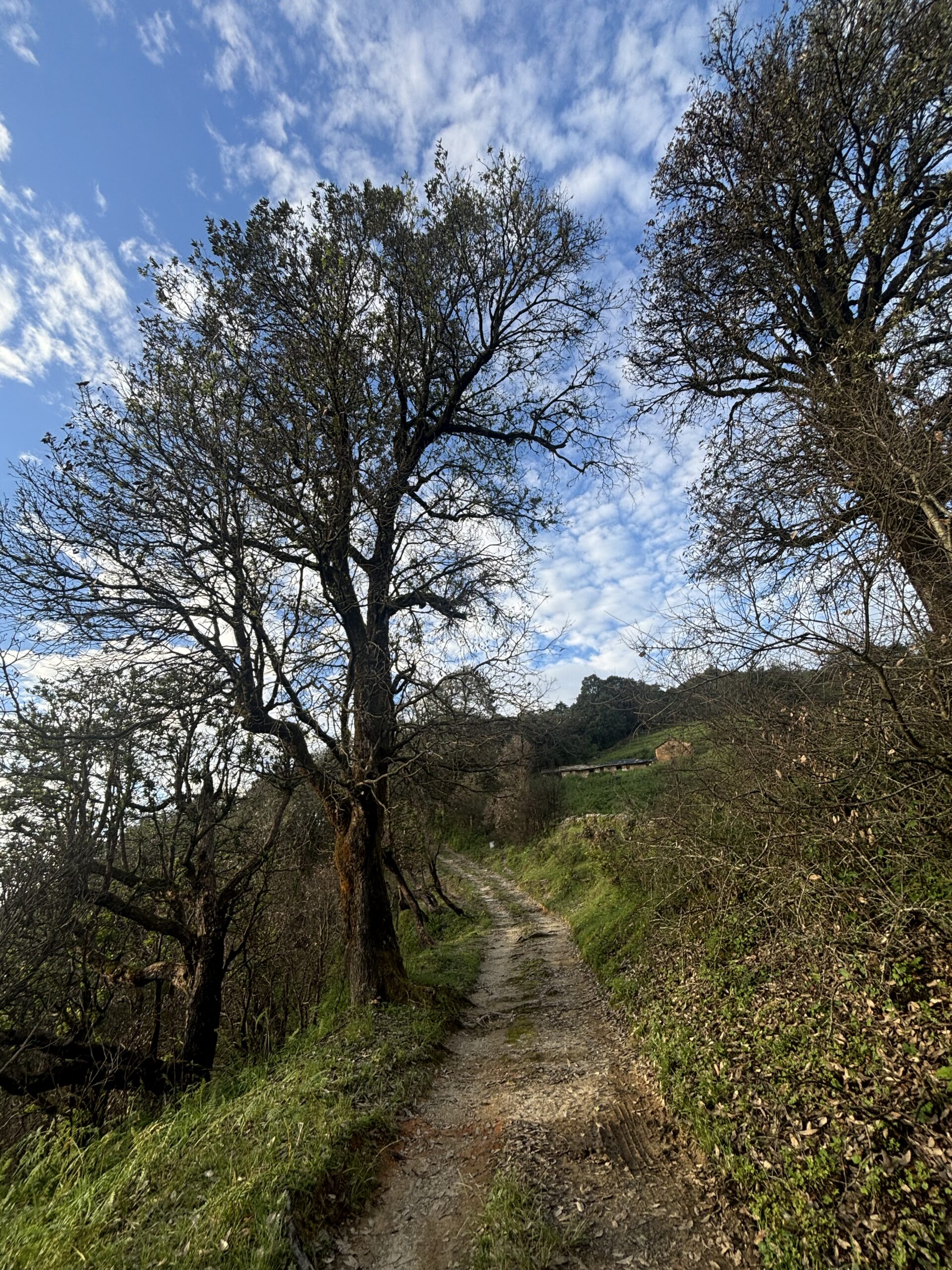 Kumaon terrain